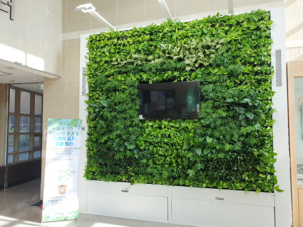 빛가람동행정복지센터, 실내그린인테리어