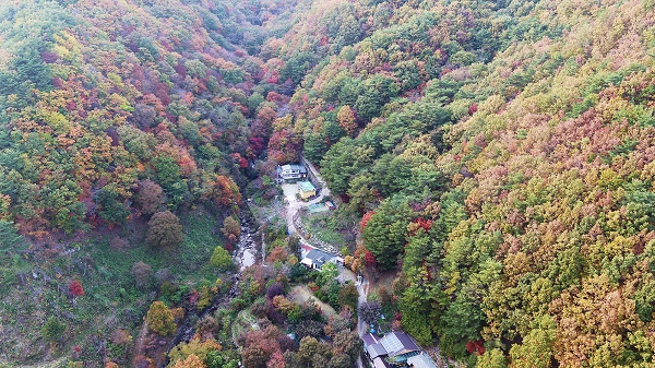 광양시 백운산 어치계곡 생태탐방로 가는 길