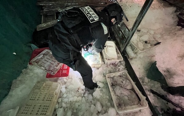 목포해경 어창내 어획물 확인