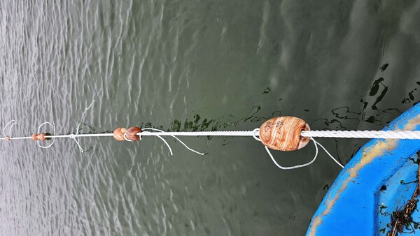 개발에 성공한 목재부표를 실제 사용하는 모습