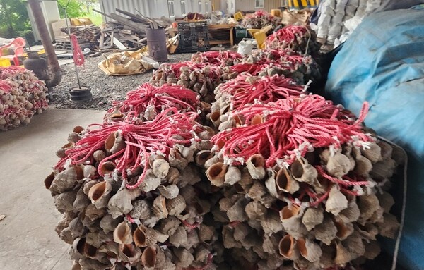 피의자는 이 그물을 현장에서 납품한것처럼 속이기 위해 그물을 내렸다가 다시 실고 오는 수법을 사용했다.